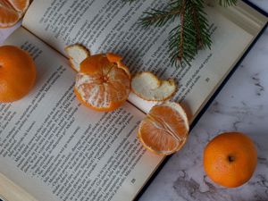 Preview wallpaper tangerines, book, fruit, citrus, orange