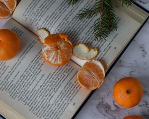 Preview wallpaper tangerines, book, fruit, citrus, orange