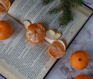 Preview wallpaper tangerines, book, fruit, citrus, orange