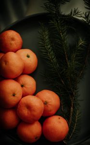 Preview wallpaper tangerines, branch, spruce, fruit, citrus