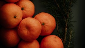 Preview wallpaper tangerines, branch, spruce, fruit, citrus