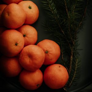 Preview wallpaper tangerines, branch, spruce, fruit, citrus