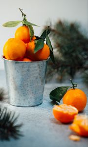 Preview wallpaper tangerines, citrus, fruit, orange, bucket