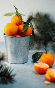 Preview wallpaper tangerines, citrus, fruit, orange, bucket