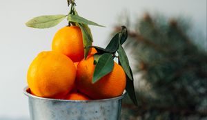 Preview wallpaper tangerines, citrus, fruit, orange, bucket