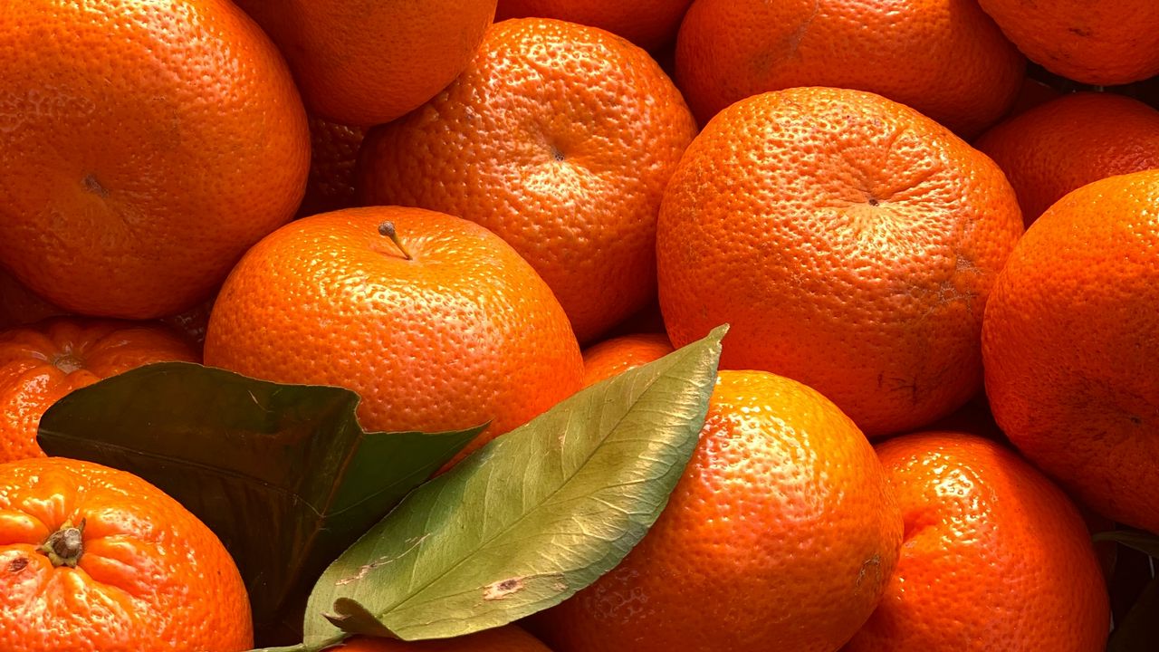 Wallpaper tangerines, citrus, fruits, leaves, orange