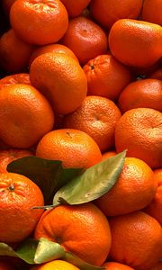 Preview wallpaper tangerines, citrus, fruits, leaves, orange