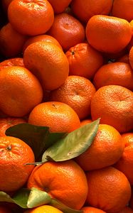 Preview wallpaper tangerines, citrus, fruits, leaves, orange