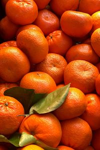 Preview wallpaper tangerines, citrus, fruits, leaves, orange