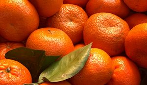 Preview wallpaper tangerines, citrus, fruits, leaves, orange