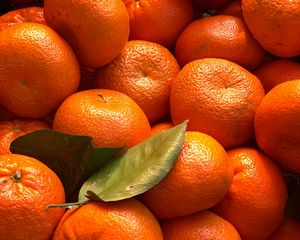 Preview wallpaper tangerines, citrus, fruits, leaves, orange