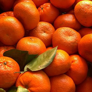 Preview wallpaper tangerines, citrus, fruits, leaves, orange