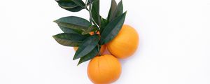 Preview wallpaper tangerines, citrus, minimalism, branch