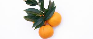 Preview wallpaper tangerines, citrus, minimalism, branch