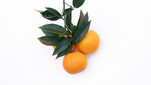 Preview wallpaper tangerines, citrus, minimalism, branch