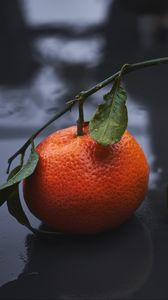 Preview wallpaper tangerines, drops, fruit, citrus