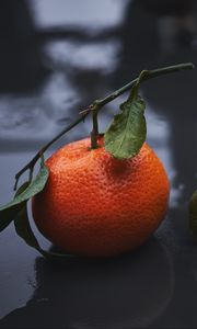 Preview wallpaper tangerines, drops, fruit, citrus