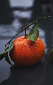 Preview wallpaper tangerines, drops, fruit, citrus