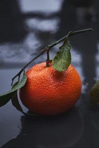 Preview wallpaper tangerines, drops, fruit, citrus