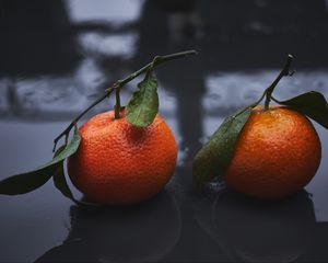 Preview wallpaper tangerines, drops, fruit, citrus