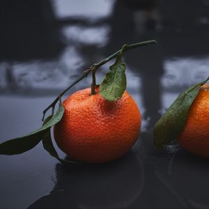 Preview wallpaper tangerines, drops, fruit, citrus