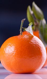 Preview wallpaper tangerines, fruit, branch, reflection