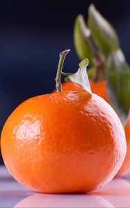 Preview wallpaper tangerines, fruit, branch, reflection