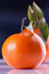 Preview wallpaper tangerines, fruit, branch, reflection