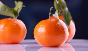 Preview wallpaper tangerines, fruit, branch, reflection