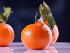 Preview wallpaper tangerines, fruit, branch, reflection