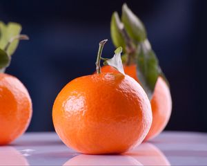 Preview wallpaper tangerines, fruit, branch, reflection