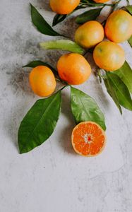 Preview wallpaper tangerines, fruit, branch, citrus, orange