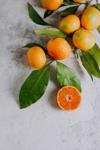 Preview wallpaper tangerines, fruit, branch, citrus, orange