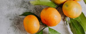 Preview wallpaper tangerines, fruit, branch, citrus, orange