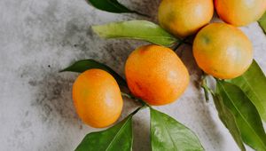 Preview wallpaper tangerines, fruit, branch, citrus, orange