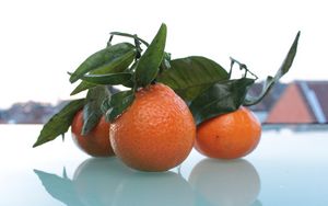 Preview wallpaper tangerines, fruit, citrus