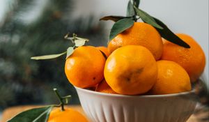 Preview wallpaper tangerines, fruit, citrus, bowl, orange