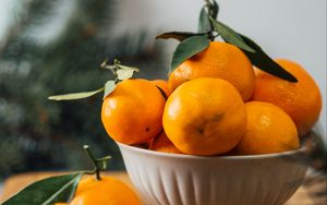 Preview wallpaper tangerines, fruit, citrus, bowl, orange