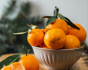 Preview wallpaper tangerines, fruit, citrus, bowl, orange