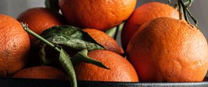 Preview wallpaper tangerines, fruit, orange, bowl