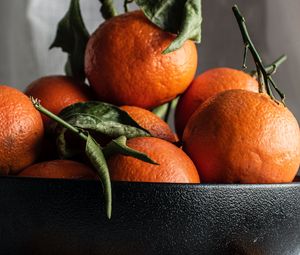 Preview wallpaper tangerines, fruit, orange, bowl