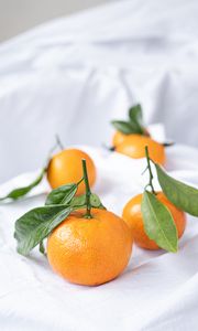 Preview wallpaper tangerines, fruits, citrus, leaves, orange