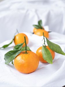 Preview wallpaper tangerines, fruits, citrus, leaves, orange