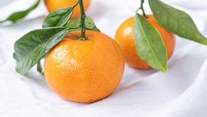 Preview wallpaper tangerines, fruits, citrus, leaves, orange