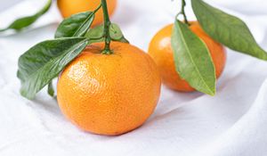 Preview wallpaper tangerines, fruits, citrus, leaves, orange