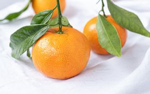 Preview wallpaper tangerines, fruits, citrus, leaves, orange