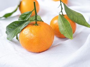 Preview wallpaper tangerines, fruits, citrus, leaves, orange