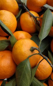 Preview wallpaper tangerines, fruits, leaves, citrus, orange