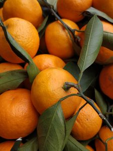 Preview wallpaper tangerines, fruits, leaves, citrus, orange