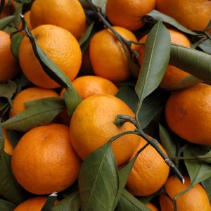 Preview wallpaper tangerines, fruits, leaves, citrus, orange